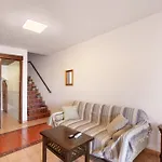 Fani